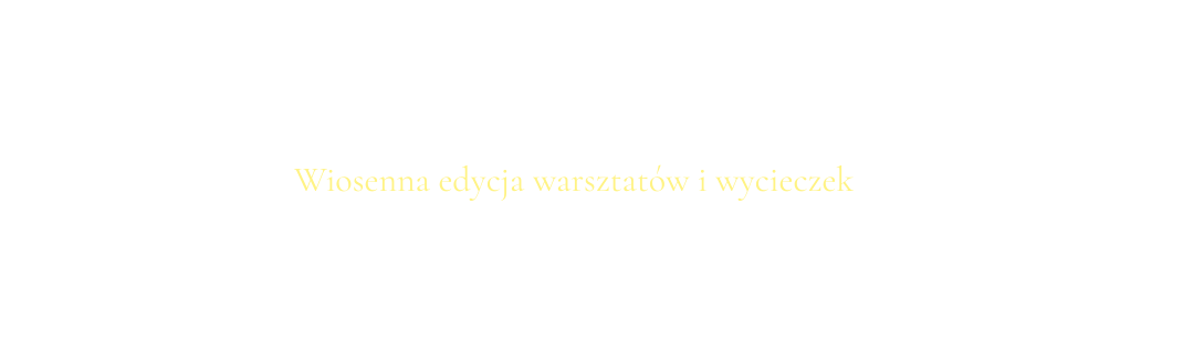 Zwiedzanie i warsztaty